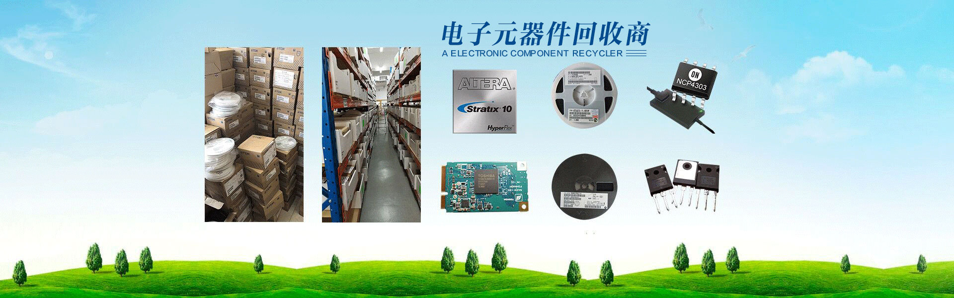 Realyip Electronics Co., Ltd